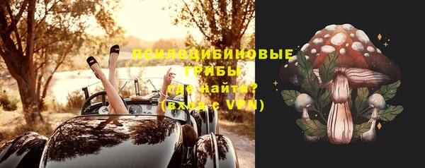 соль ск Балахна